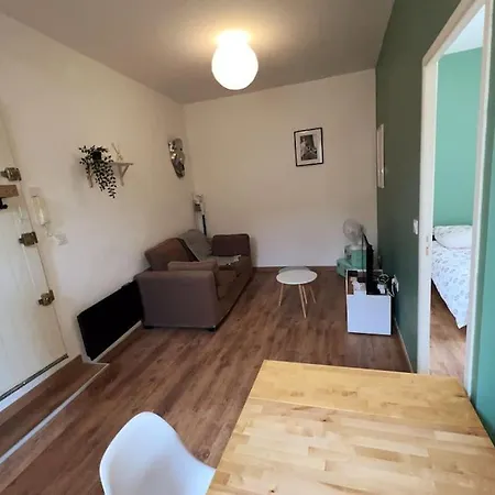Apartment Le Flolie - Entree Autonome - Centre-ville - Wifi - Netflix *
